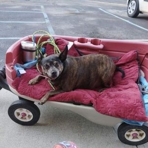 Meet your Posher, Tami